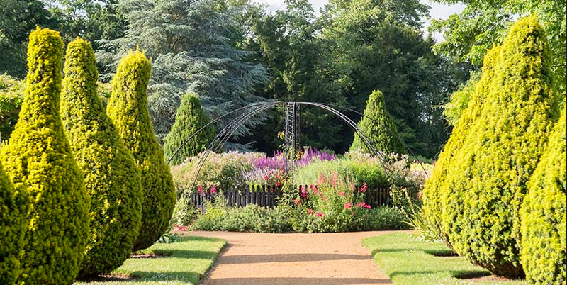 Jennifer Roblin offers Walk and Talk Anxiety Therapy in the Essex countryside